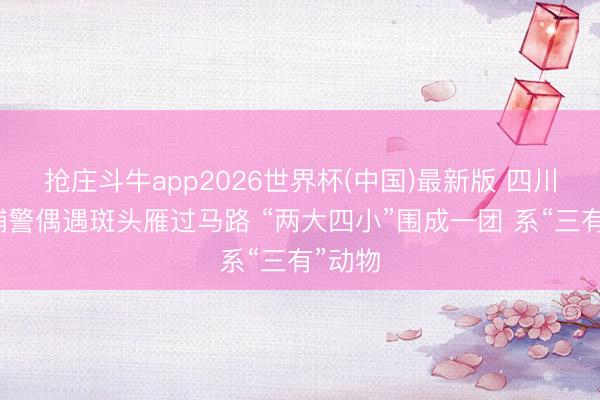 抢庄斗牛app2026世界杯(中国)最新版 四川甘孜辅警偶遇斑头雁过马路 “两大四小”围成一团 系“三有”动物
