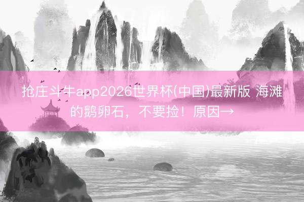 抢庄斗牛app2026世界杯(中国)最新版 海滩的鹅卵石，不要捡！原因→
